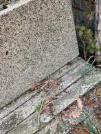 Grote partij zware beton tegels, Tuin en Terras, Ophalen, Gebruikt, Overige typen