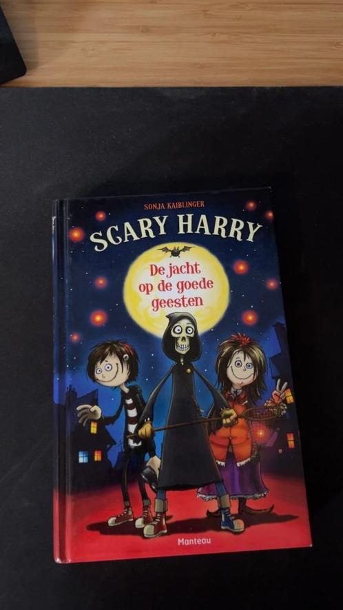 Scary Harry, de jacht op de goede geesten - Sonja Kaiblinger, Boeken, Kinderboeken | Jeugd | 10 tot 12 jaar, Gelezen, Fictie, Ophalen of Verzenden