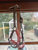 Qhp veulen/ mini shetlander halster, Dieren en Toebehoren, Ophalen of Verzenden, Nieuw, Overige soorten