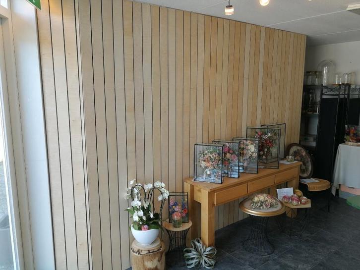 MULTIPLEX latten 50% t/m januari!, Doe-het-zelf en Verbouw, Hout en Planken, Zo goed als nieuw, Plank, Overige houtsoorten, 200 tot 250 cm