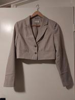 Korte grijze blazer met streep - Maat M, Kleding | Dames, Jasjes, Kostuums en Pakken, Maat 38/40 (M), Ophalen of Verzenden, Zo goed als nieuw