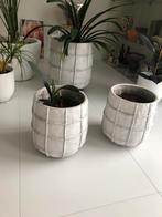 Twee mooie bloempotten merk PTMD, Rond, Zo goed als nieuw, Minder dan 40 cm, Balkon