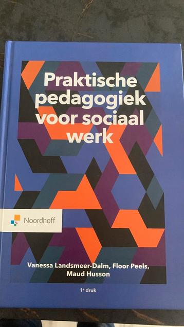 Praktische pedagogiek voor sociaal werk hbo social work beschikbaar voor biedingen