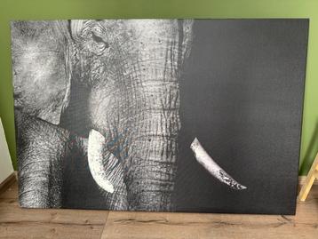 Olifanten canvas beschikbaar voor biedingen