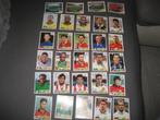 panini voetbal plaatjes wk 1998, Verzamelen, Ophalen of Verzenden, Zo goed als nieuw, Buitenlandse clubs, Poster, Plaatje of Sticker