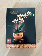 Lego Botanicals Miniorchidee (10343) - volwassenen, Kinderen en Baby's, Speelgoed | Duplo en Lego, Ophalen of Verzenden, Nieuw