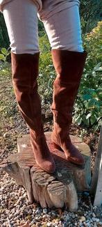 Zgan Ralph Lauren laarzen, hoog, suede, 38/39., Dieren en Toebehoren, Hagedis