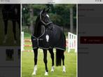 Rambo Diamante Cooler. Maat 6,6    Zwart, Dieren en Toebehoren, Paarden en Pony's | Dekens en Dekjes, Ophalen of Verzenden, Zo goed als nieuw