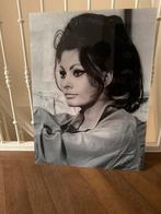 Sophia Loren Foto 60x80 cm op Plexiglas, Huis en Inrichting, Ophalen, Zo goed als nieuw, Foto of Poster, 50 tot 75 cm