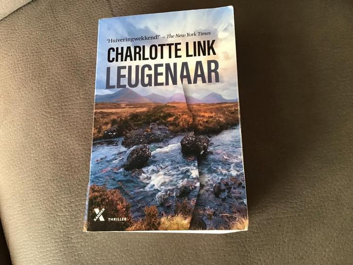 Charlotte Link - Leugenaar, Boeken, Thrillers, Zo goed als nieuw, Ophalen of Verzenden