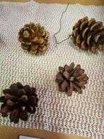 dennenappels zeven stuks [a962, Diversen, Kerst, Ophalen of Verzenden, 'T Olde Gre-j, Info@toldegrej.nl, Endepoelstraat 20f Didam