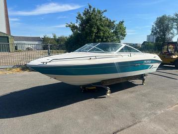 Searay 180 Signature beschikbaar voor biedingen