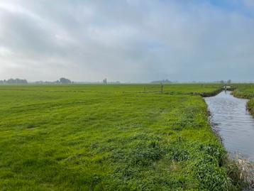 Te koop: Ruim 29 hectare aaneengelegen landbouwgrond beschikbaar voor biedingen