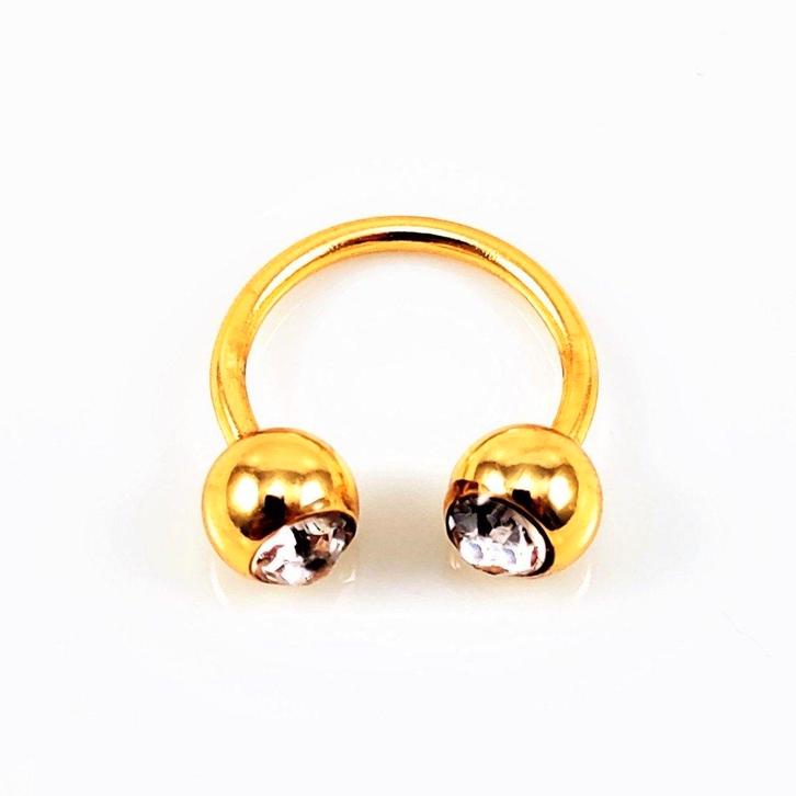 piercing, Sieraden, Tassen en Uiterlijk, Piercings, Nieuw, Oor- of Traguspiercing, Staal, Met strass, Ophalen of Verzenden