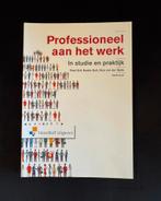 Professioneel aan het werk, Ophalen of Verzenden, Nieuw, HBO, Roel Grit; Roelie Guit; Nico van der Sijde