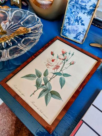vintage rozen prent  beschikbaar voor biedingen