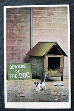Ja, ook dit is een waakhond, 1907, USA, Verzamelen, Ansichtkaarten | Dieren, Gelopen, Voor 1920, Verzenden, Hond of Kat