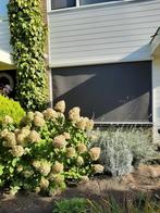 Elektrische screen, Doe-het-zelf en Verbouw, Rolluiken, Ophalen of Verzenden, Zo goed als nieuw, 200 cm of meer, 200 cm of meer