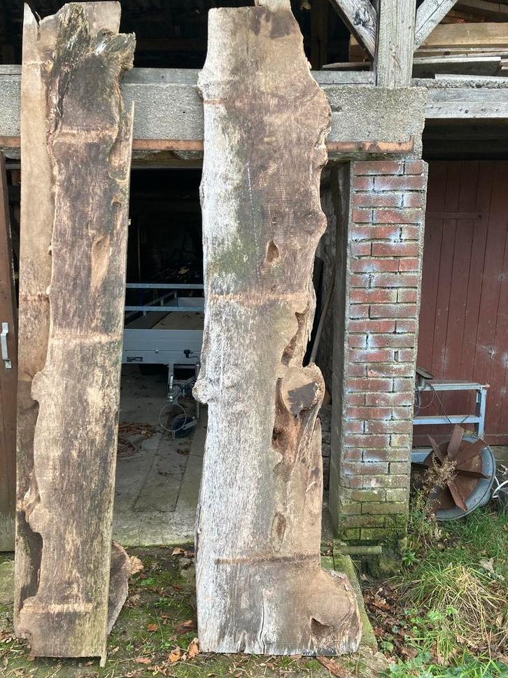 Robinia Plank, 3.5cm dik , lengte ca 280cm, 10 jaar gedroogd, Doe-het-zelf en Verbouw, Hout en Planken, Gebruikt, Plank, Overige houtsoorten