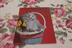 Katten Postkaart - Kitten zit in Bloemenmand, Duitsland, Verzenden, 1960 tot 1980, Gelopen, Hond of Kat
