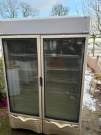 Professionele Vriezer defect, Ophalen, Gebruikt, Koelen en Vriezen