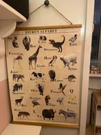 Dieren alfabet schoolplaat poster, Natuur en Biologie, Ophalen of Verzenden