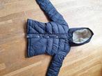 Winterjas Hollister met teddy voering maat S, Blauw, Ophalen of Verzenden, Maat 36 (S), Gedragen