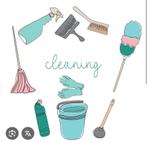 Schoonmaker gezocht, Overige niveaus, Starter, Overige vormen