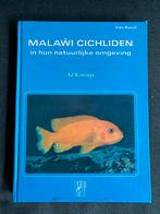 Ad Konings - Malawi Cichliden, Boeken, Ophalen of Verzenden, Zo goed als nieuw, Honden