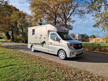 Renault Master Nieuw model MTM paardenwagen voor 2 paarden m beschikbaar voor biedingen