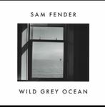 Sam Fender - Wild Grey Ocean (wit vinyl), 7 inch, Single, Ophalen of Verzenden, Zo goed als nieuw