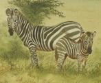 Safari-Kenya 2 zeebras  original aquarel Daniel Njorogo 1990, Antiek en Kunst, Kunst | Schilderijen | Klassiek, Ophalen