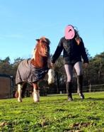 Verzorg ponys gezocht voor 3 mensen!!  leusden woudenberg, Dieren en Toebehoren, Ophalen, Nieuw