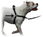 ACTIE Mazter Anti-trektuig voor de hond vanaf €14,95, Dieren en Toebehoren, Ophalen of Verzenden, Nieuw
