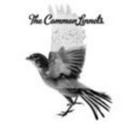 The Common Linnets - Idem (Nieuw), Ophalen of Verzenden, 2000 tot heden, Nieuw in verpakking