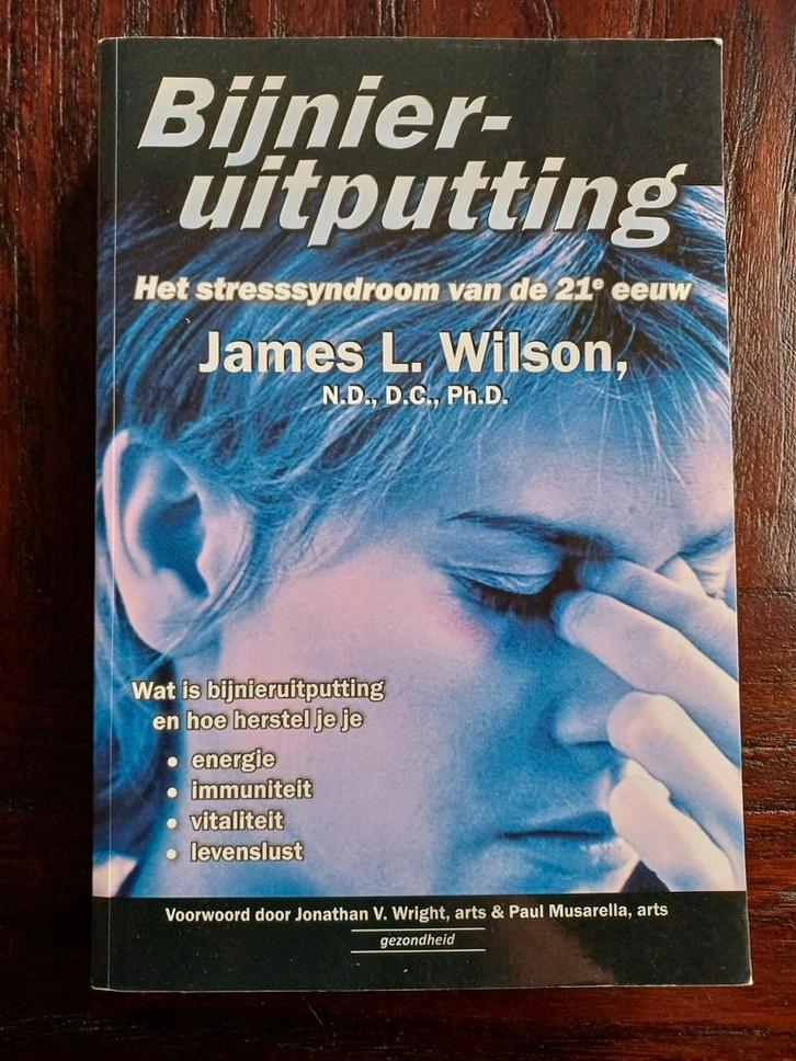 Bijnieruitputting - Het stresssyndroom van de 21e eeuw, Boeken, Gezondheid, Dieet en Voeding, Ophalen of Verzenden