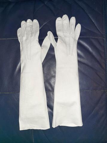 Vintage lange dames handschoenen lichtgrijs maat 6¾ beschikbaar voor biedingen