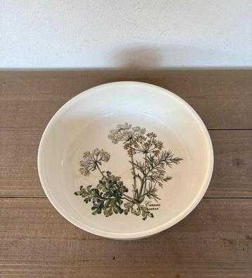 Villeroy en Boch schaal. Botanica Carum Carvi. beschikbaar voor biedingen