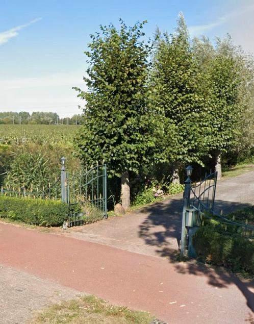 Elektrisch gietijzer groen sierkhek met gouden punten, Tuin en Terras, Tuinhekken en Hekwerk, Gebruikt, Sierhekwerk, IJzer, Met poort