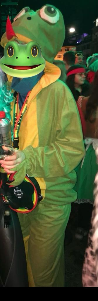 8 Kikkerpakken voor Carnaval!, Kleding | Heren, Carnavalskleding en Feestkleding, Gedragen, Kleding, Carnaval, Overige maten, Ophalen of Verzenden