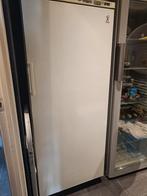 Bosch Vrieskast - Groot Model - 7 Vakken, Vrieskast, Gebruikt, 160 cm of meer, Ophalen of Verzenden