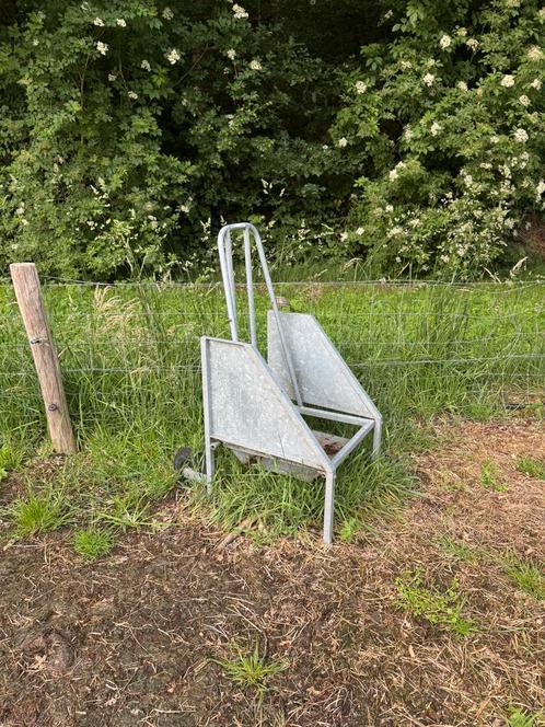 Schapenstoel, Dieren en Toebehoren, Schapen, Geiten en Varkens, Schaap, Vrouwelijk