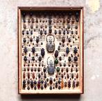 Prachtig klassieke museumlade met kevers, Verzamelen, Dierenverzamelingen, Ophalen of Verzenden, Zo goed als nieuw, Insect, Opgezet dier