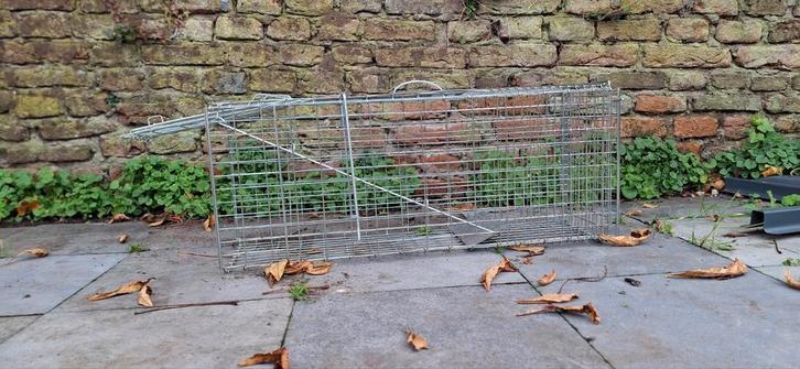Dieren katten vangkooi, te huur. Chiplezer ook beschikbaar., Dieren en Toebehoren, Kattenmanden, Ophalen of Verzenden