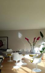 90 x 180 tulipe tafels 244 x 137 Eero Saarinen , stoelen, Huis en Inrichting, Stoelen, Overige kleuren, Nieuw, Ophalen of Verzenden