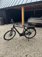 Pegasus Siena, Fietsen en Brommers, Zo goed als nieuw, 51 tot 55 cm, 50 km per accu of meer, Ophalen
