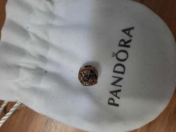 Pandora Disney family beschikbaar voor biedingen