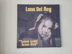 Lana del Rey canvas promo, Ophalen of Verzenden, Poster, Artwork of Schilderij