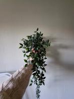 Zijde hangplant van ikea, Ophalen of Verzenden