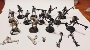 40k kroot kindred beschikbaar voor biedingen